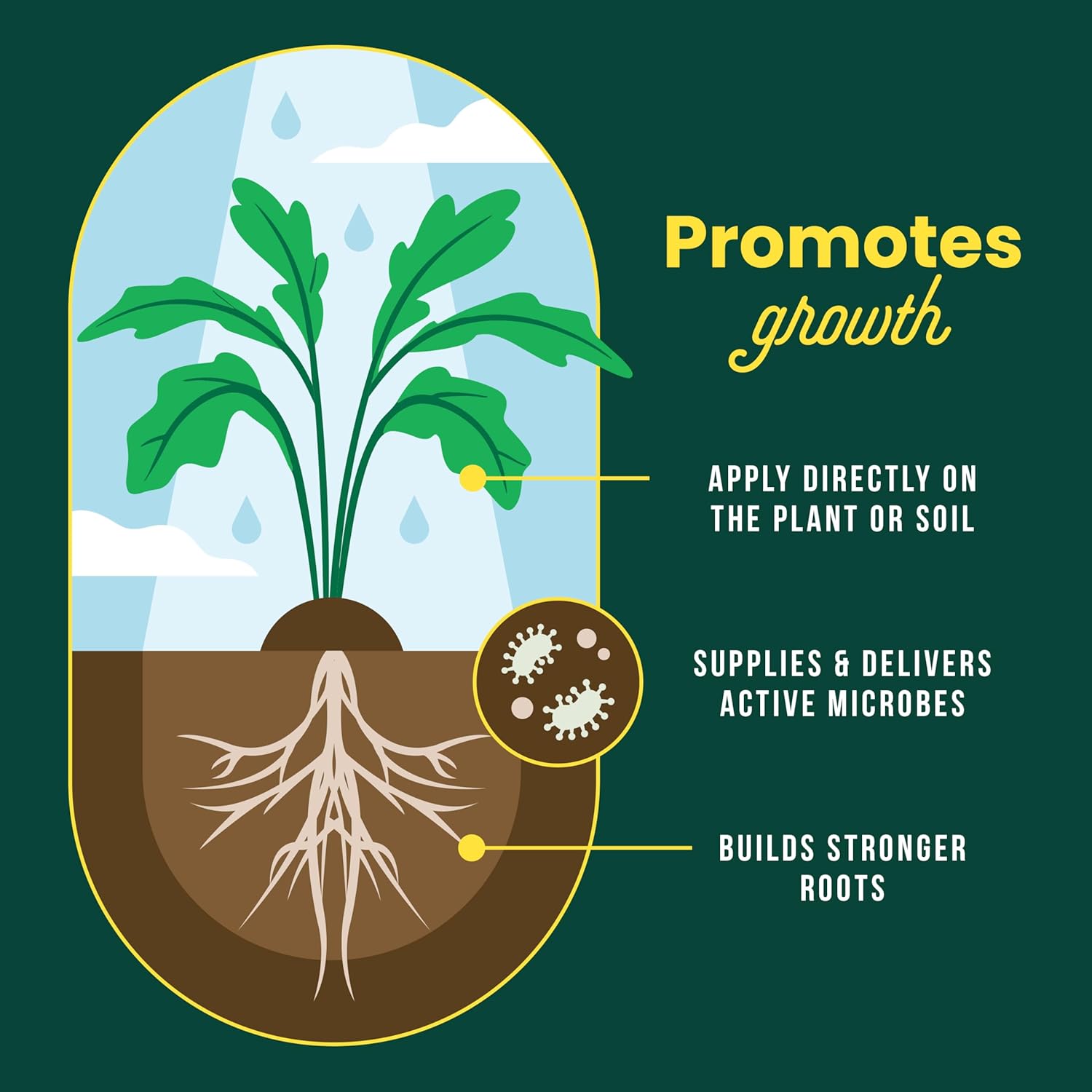 Sunday Soil Booster - Worm Casting Tea - Enhance Soil Health & Promote Vigorous Plant Growth - Made with Vermicompost Extract & Humic Acid - 32 Fl Oz, 2 Pack