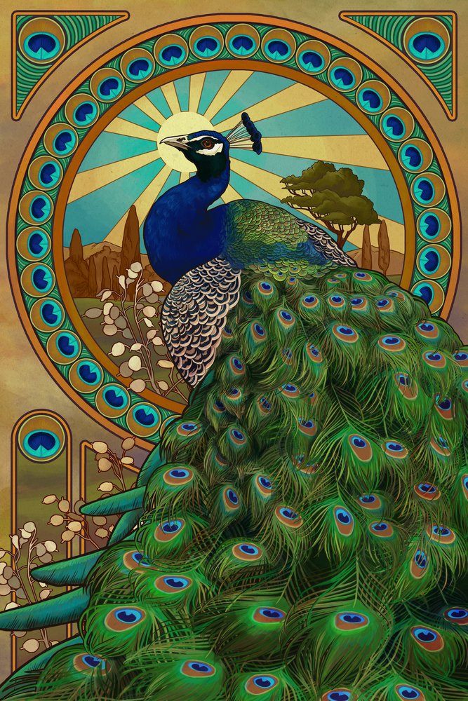 Amazon.com: Lantern Press Peacock, Art Nouveau, (12x18 Wrapped 