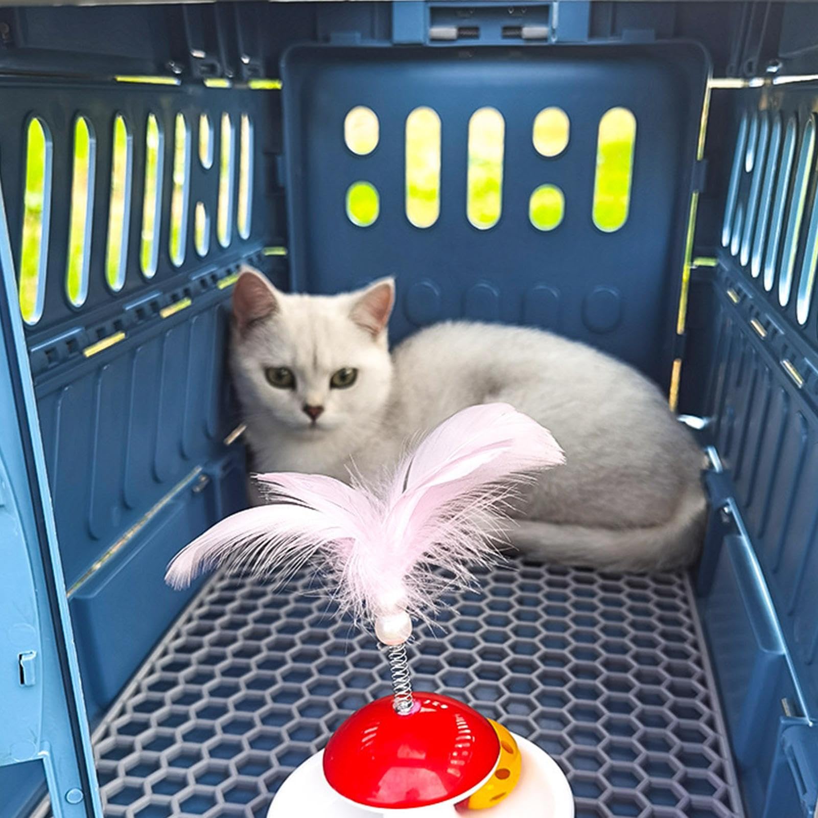 Transportín para Gatos Bolso Transportador Plegable y Portátil | Porta Mascotas de Viaje con Asa para Cachorros y en Exteriores Viajes Aéreos y Coche