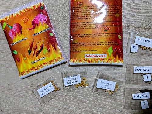 Miniatura 2 de Bmore Spicy Paquete combinado – Pimienta fantasma (también conocida como Bhut Jolokia 25 semillas), Carolina Reaper (20) y Trinidad Moruga Scorpion