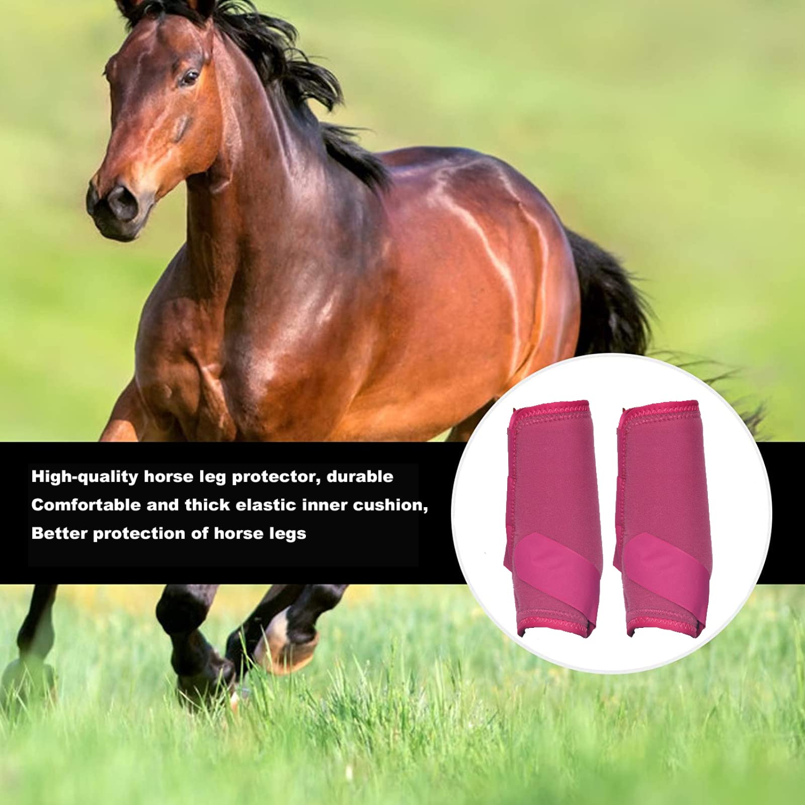 Amazon.co.jp: 馬のブーツプロフェッショナルチョイス、馬の前足用の馬