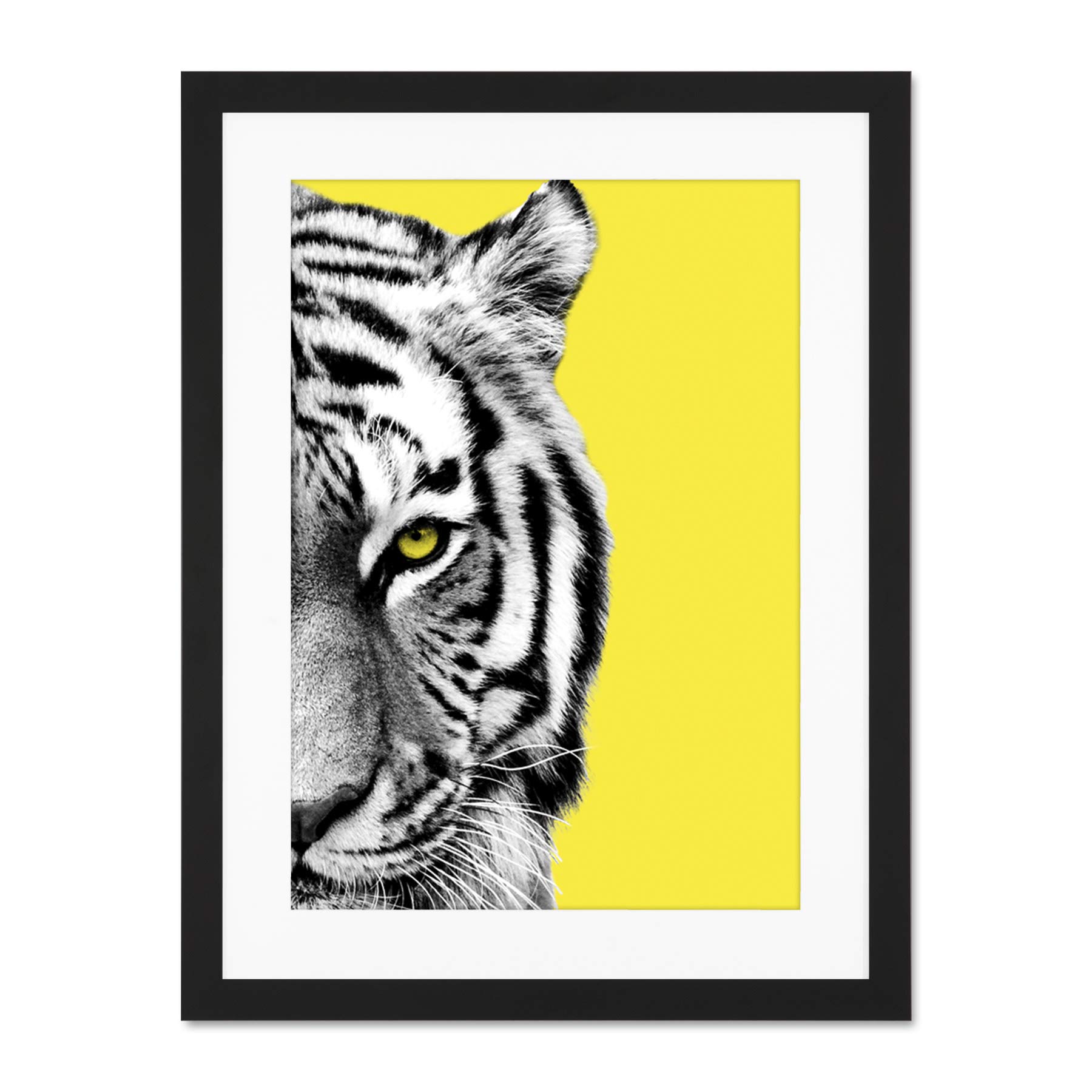 Wee Blue Coo Close up Beasties Tiger Large Framed Art Print Wall Poster 18x24 inch