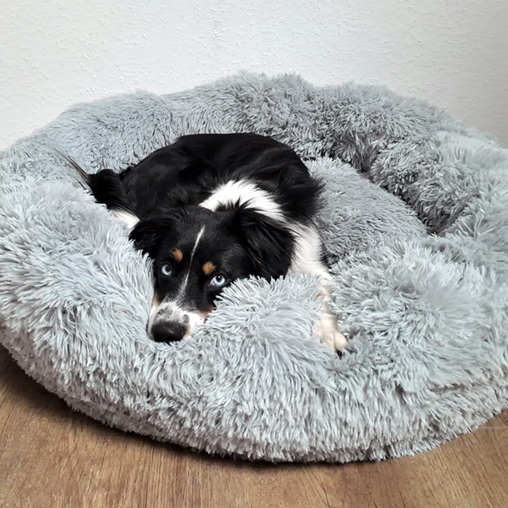 hundebett outdoor wasserdicht Kurgo Loft Wander Hundebett Wasserdicht main image 1