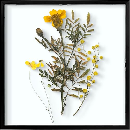 Vista 46 de Frametory, Marco de fotos flotante de 8 x 10 pulgadas, marco de fotos de metal de aluminio negro, cristal real de la parte delantera, para pantallas