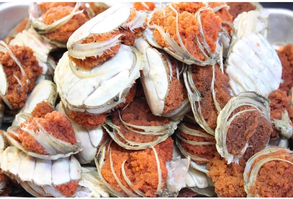 中国古玩 黄南京煎茶碗5客 木箱付 本Y5-0515☆トサチ