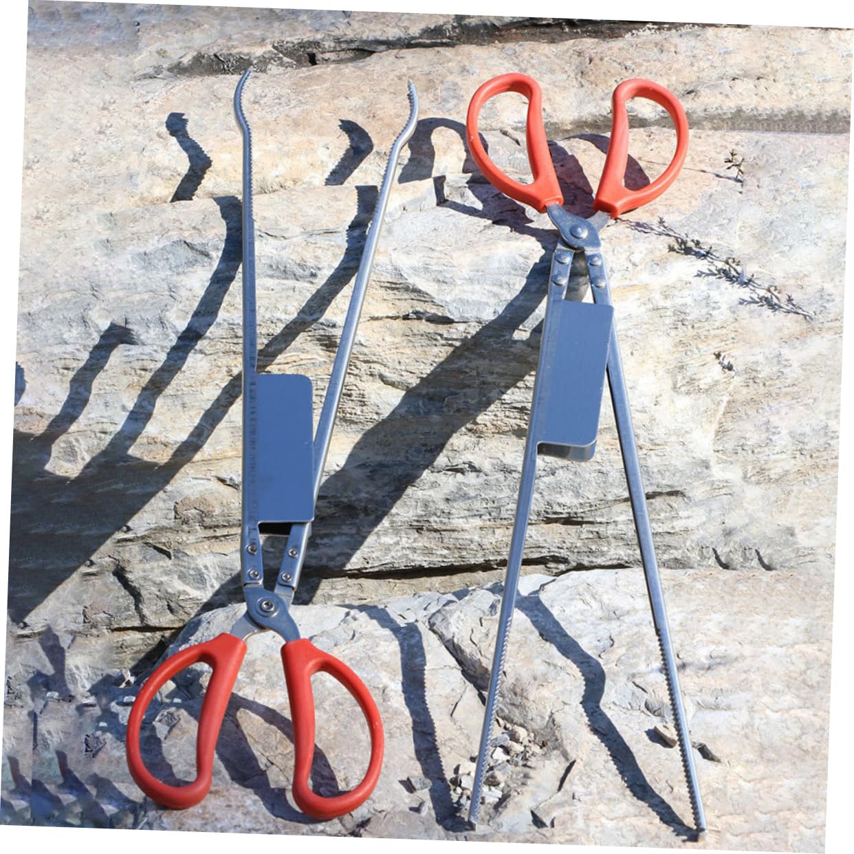 Gatuida Pinza per Granchio Antiscivolo e Morsetto Multifunzione per Anguille in Acciaio Inox 52 Cm, Strumento Robusto per Cucina e Pulizia, Set 2 Pezzi Testa Dritta e Curva, per Frutti