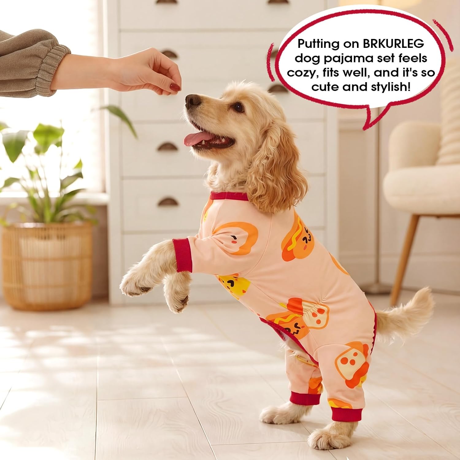 BRKURLEG Soft Dog Pajama, Dog Recovery Suit, Orange, XL | Long Sleeve Prevent Shedding, Anti-Licking wounds, Pet Onesie Cute & Stretchy Puppy Jumpsuit Pjs for Small to Large Breeds