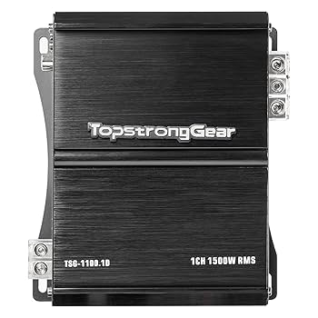 Amazon.com: TOPSTRONGGEAR 1 Ohm 1500 Watts Class D Full