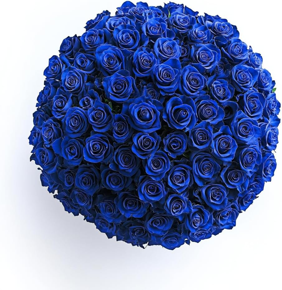 GlobalRose 100 Blue Roses Bouquet - Responsibly Sourced Roses Fresh Flowers - Hand-Picked Flowers Fresh Bouquet for Graduation, Anniversary, Birthday & Special Occasions (4 Bunches of 25 Stems)