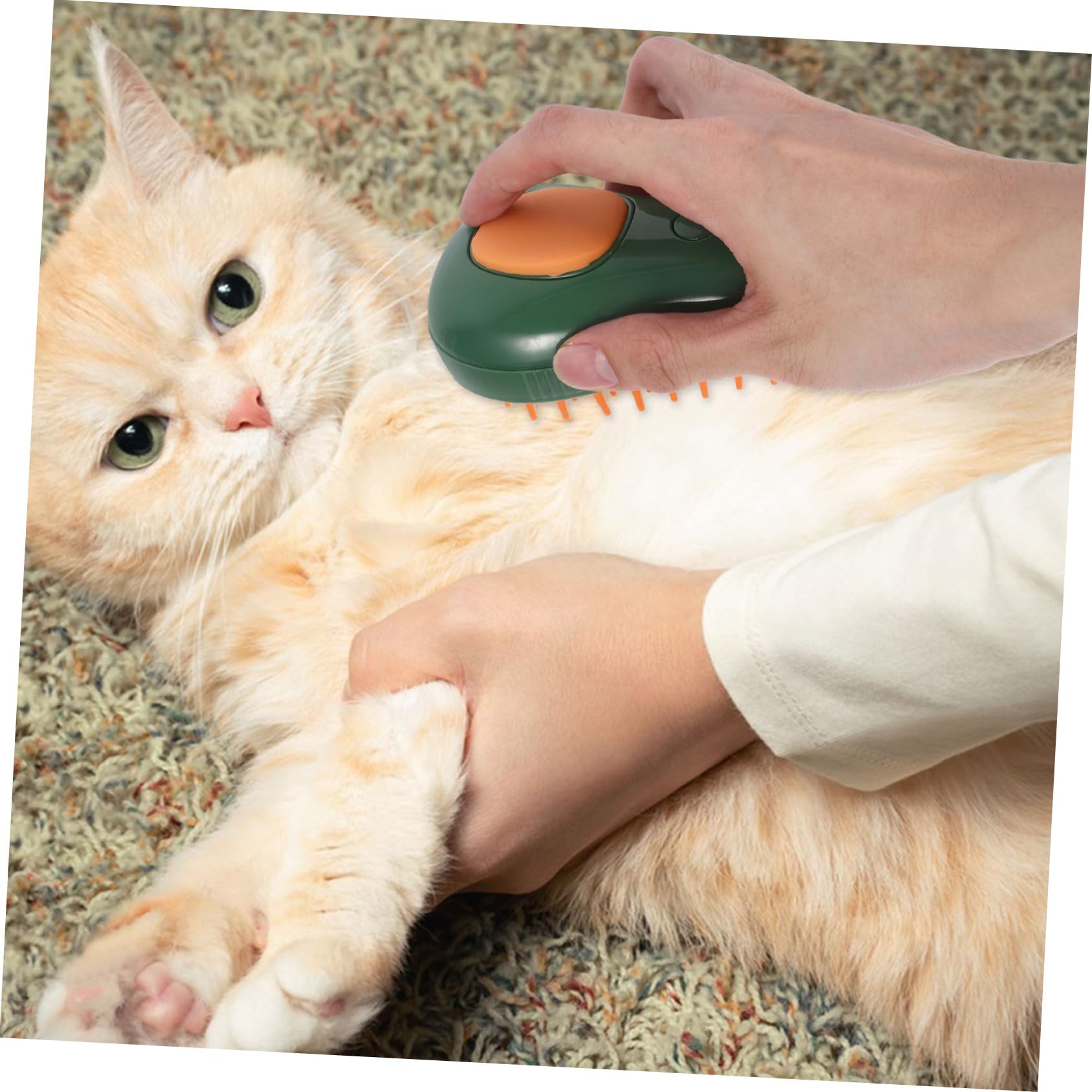 Toddmomy 5St Dampfbürste für Katzen und Hunde tierhaar bürste tierhaarbürste elektrischer Schrubber Dampfer Hundebadewäscher Duschbürste für Hunde Kämmen Katzenbürste Massagebürste Haustier