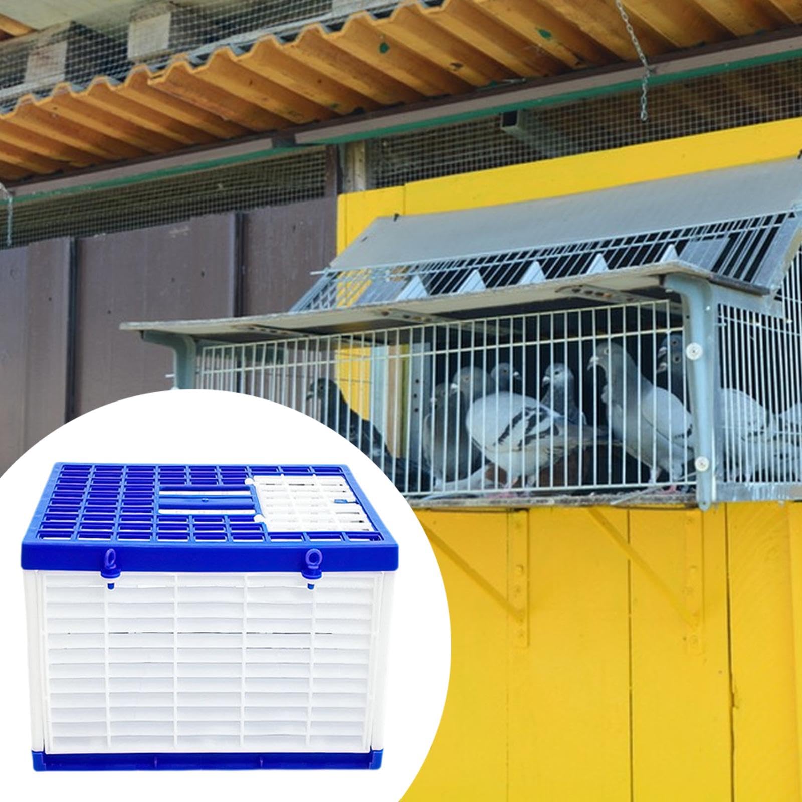 Jaula para Palomas, Jaula de Transporte Plegable, Caja Nido para Competición, Caja de Liberación con Apertura Práctica Y Gran Capacidad, Adecuada para, M