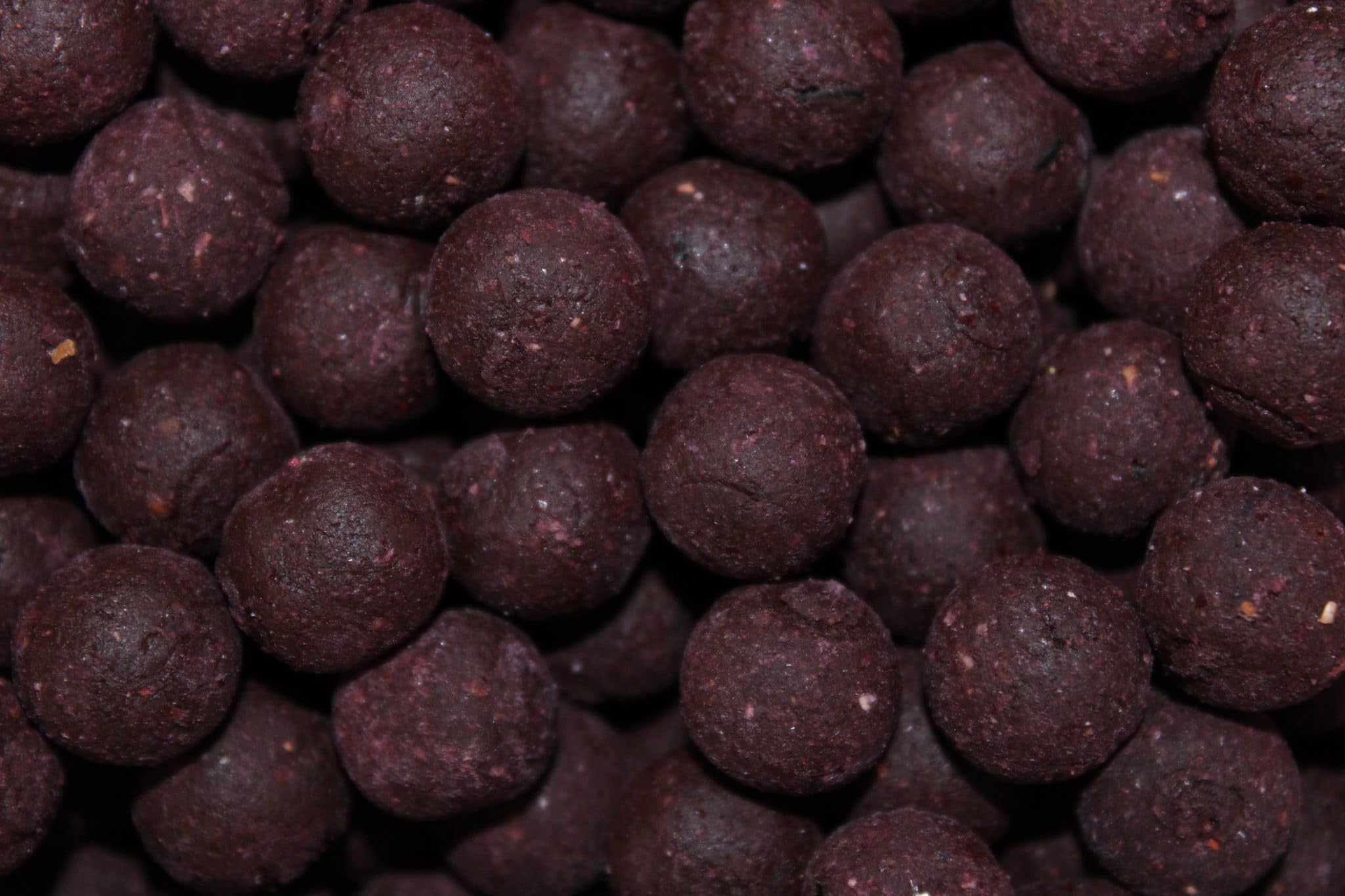 Pro Elite Baits Boilies Squid & Octopus (20mm)