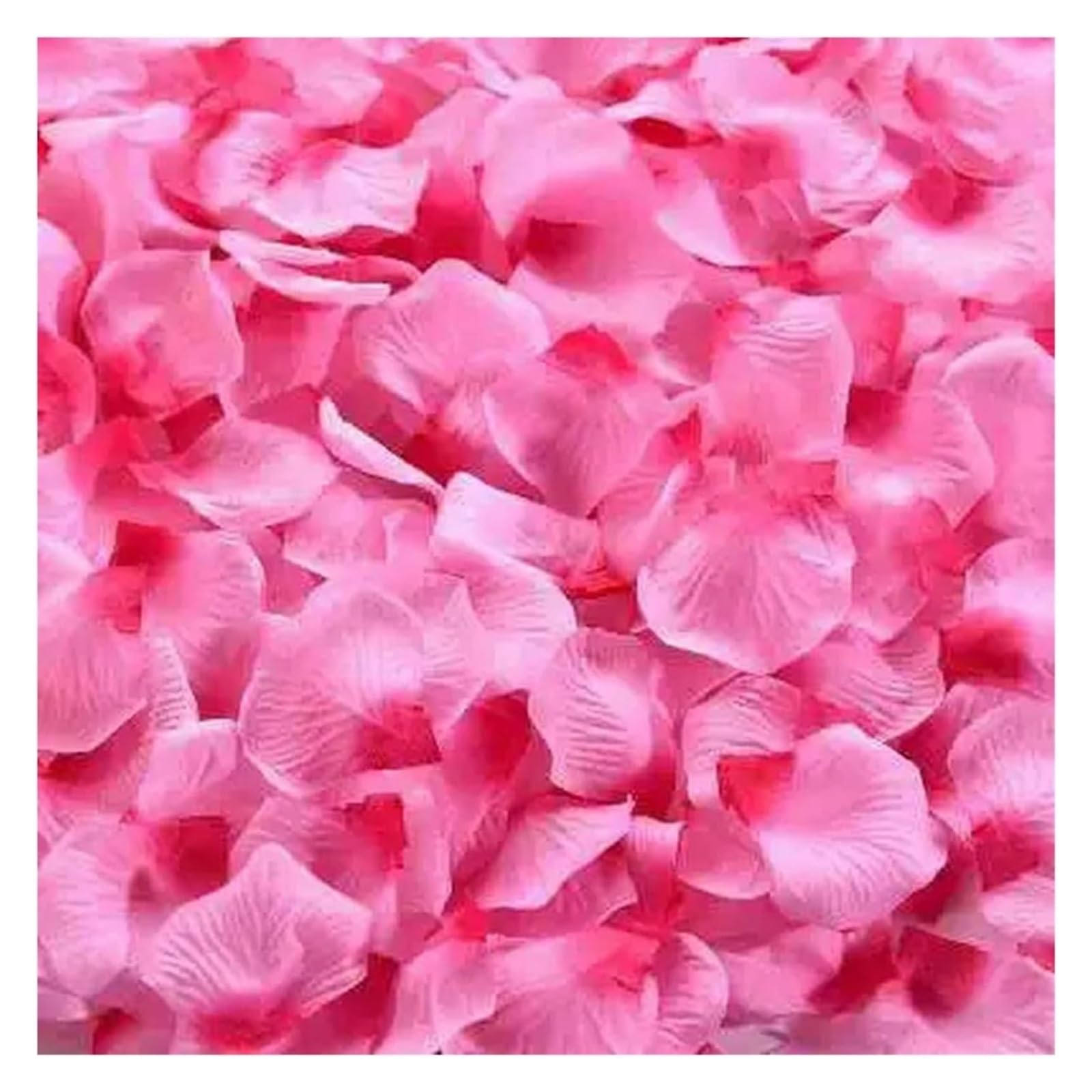 BPABDEITR Artificial Silk Rose Petals Multicolor 1000/3000 Pcs Wedding Decoration(Pink Red,3000pcs)