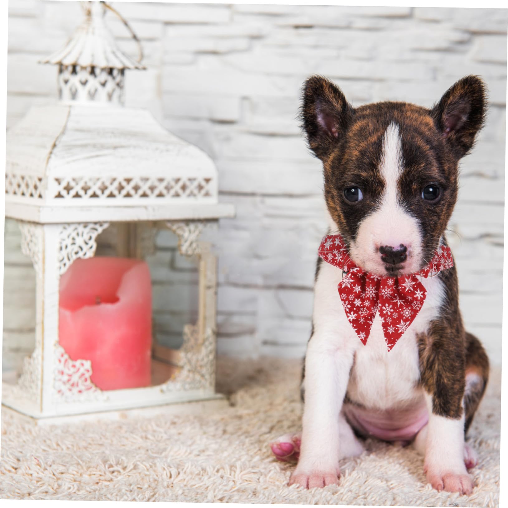 Collier Réglable pour Chaton avec Boucle pour Chat Accessoire De Noël pour Chien Et Animal De Compagnie