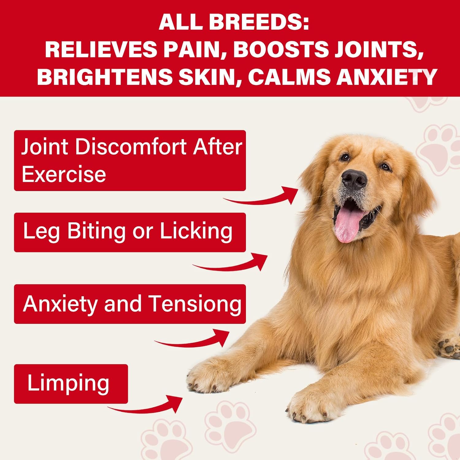 Natural Dog Pain Relief Balm with DMSO, Magnesium & Castor Oil – Supports Joint Mobility & Reduces Swelling & Discomfort, Dog Pain Relief Anti-Inflammatory Support - 60 g