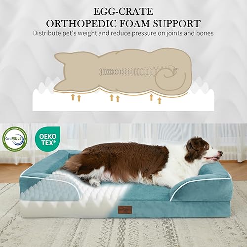 Miniatura 147 de Comfort Expression - Cama ortopédica para perros extragrandes, 53 x 42 pulgadas, cama impermeable y de apoyo de espuma con cojines removibles, con