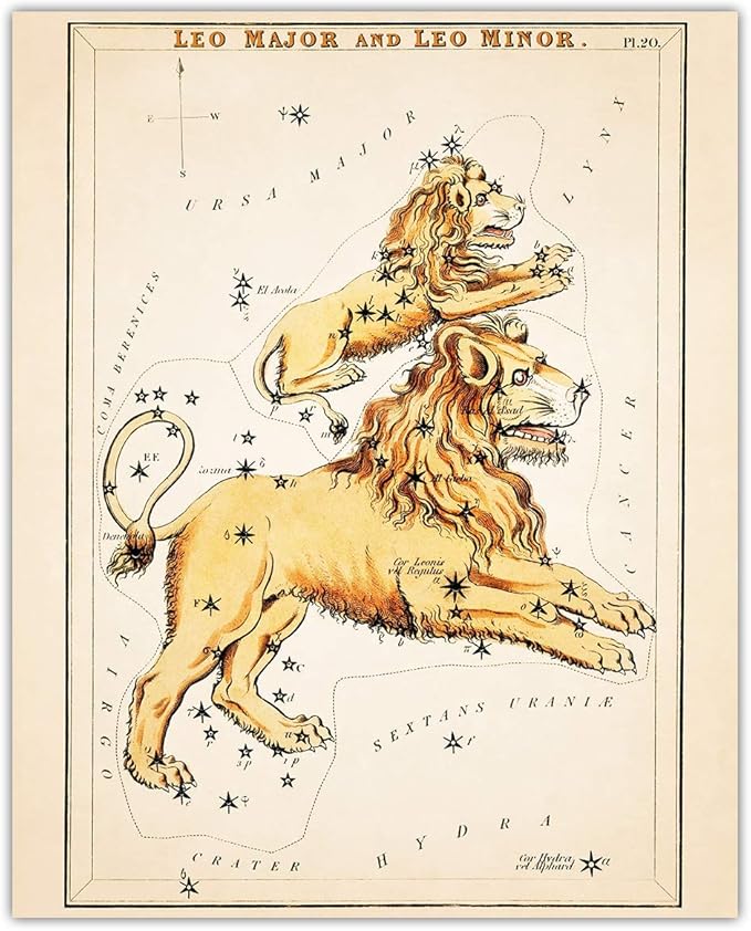 Buzz Unplugged Leo Zodiac Astrology Poster: Unique Astronomy Boho Wall Art Poster for Home, Office, Bedroom & Living Room Decor - Unframed Posters 8x10