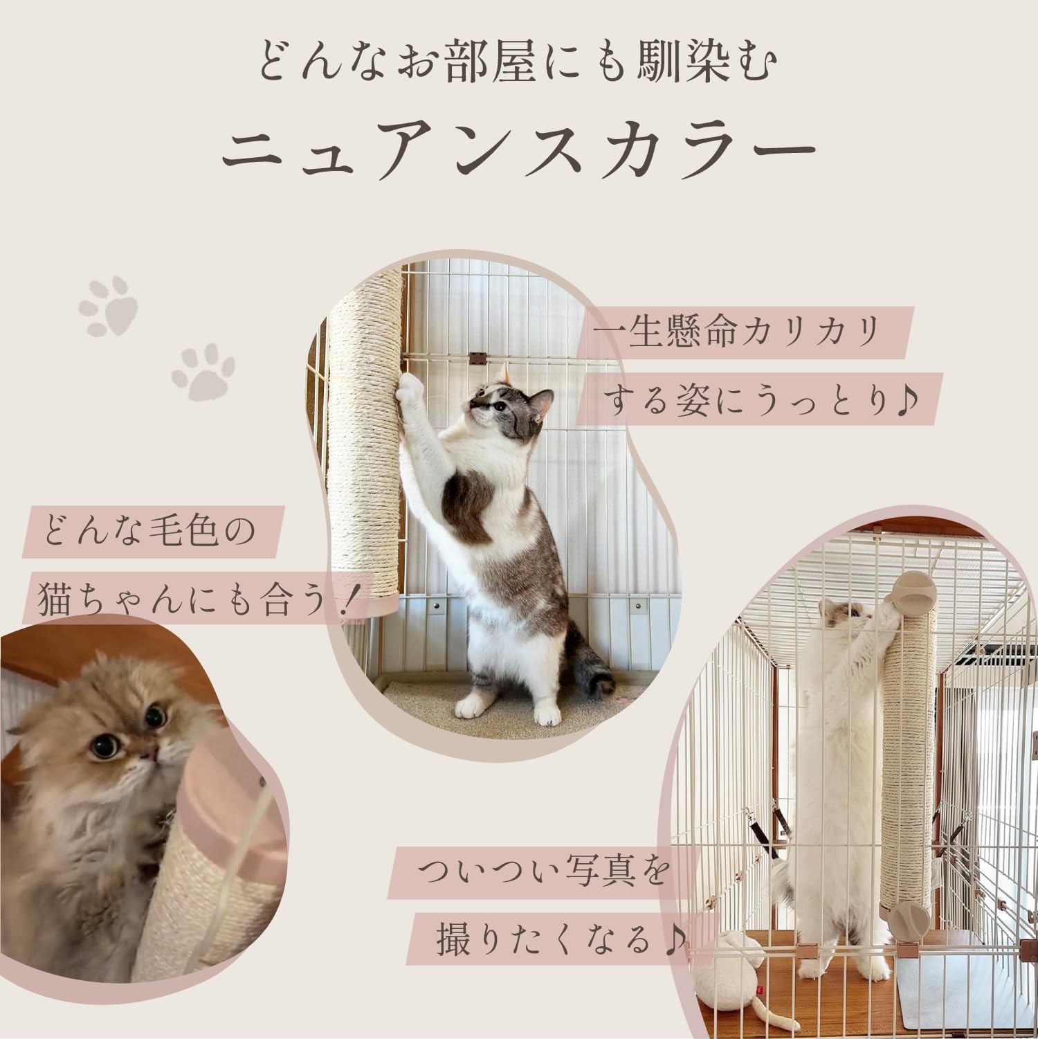 Amazon | ieneko 爪とぎポール 猫 ねこ つめとぎ ネコ爪とぎ 運動不足
