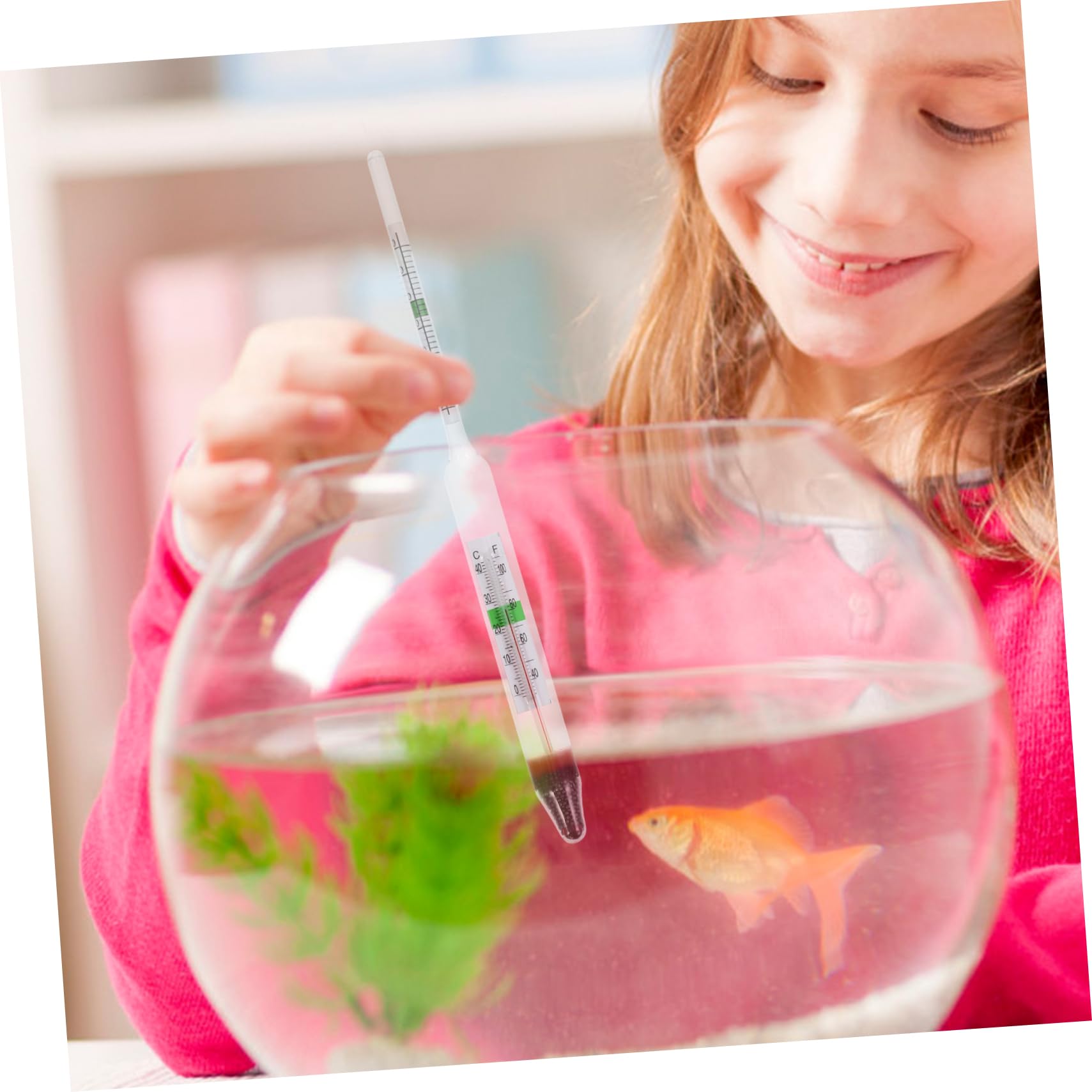 1 Juego Medidor De Agua De Mar Densitómetro Para Pecera Hidrómetro De Vidrio Probador De Medición De Agua Probador De Calidad Del Agua De Mar Salímetro De Agua Salinómetro De