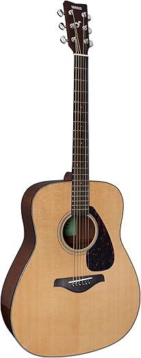 Acoustic Guitars