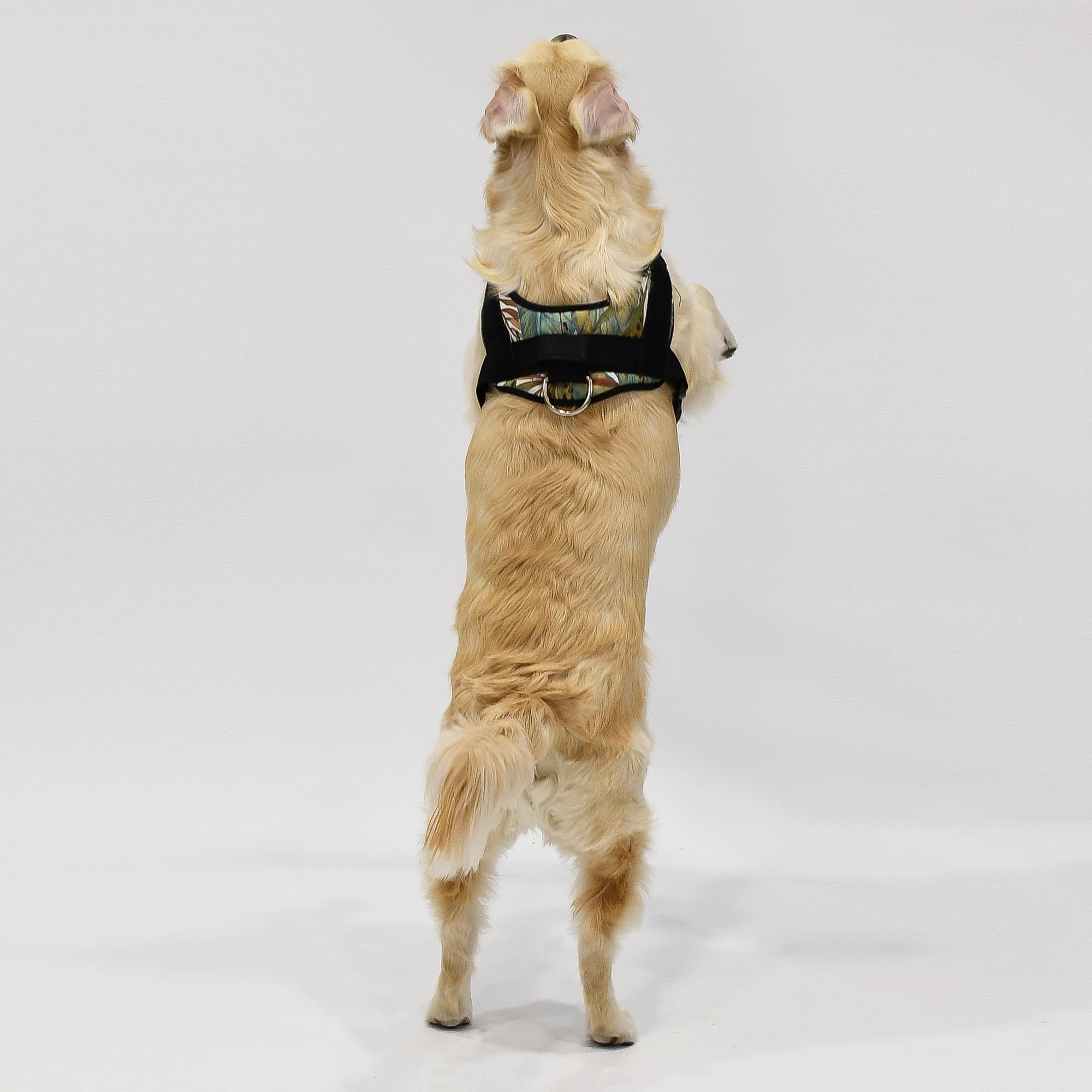 Jyoko Pets Arnés para Perro – Ajustable, Ergonómico y con Asa de Control (Safari, XL)