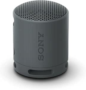 Sony SRS-XB100 Wireless Bluetooth Portable Lightweight Super-Compact Travel Speaker, IP67 Waterproof and Dustproof, 16 Hour Battery, Versatile Strap and Hands-Free Calling, Black