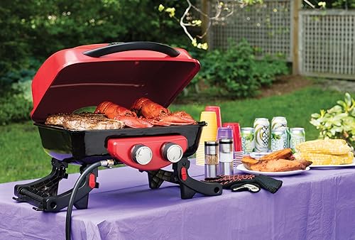 Miniatura 6 de Cuisinart CSS-33 - Juego de especias magnéticas para parrilla, color plateado