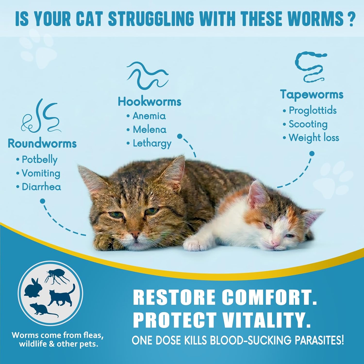 Broad Spectrum Dewormer for Cats & Kittens, Praziquantel & Pyrantel Pamoate Formula for Cats 6+ Weeks, Fast-Acting Treatment for Tapeworms, Roundworms & Hookworms, 100 Tablets