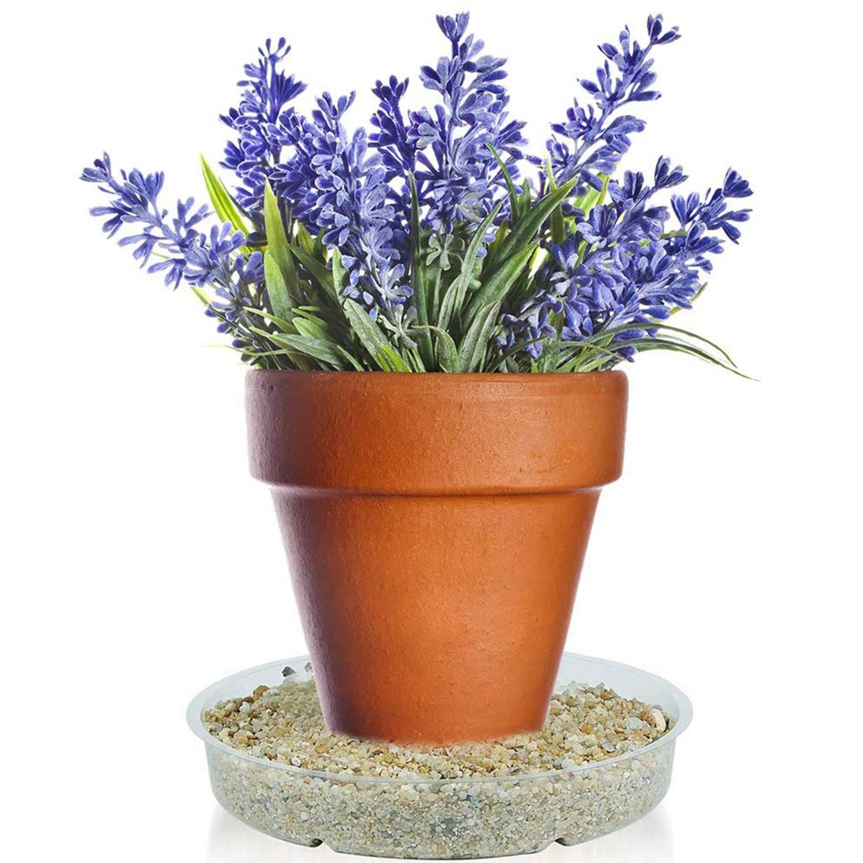 Sottovasi Trasparenti Per Piante In PET - Set Da 5 Pezzi (15,2cm/20,3cm/25,4cm) Per Interni/Esterni