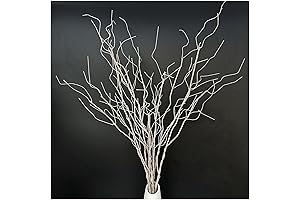 5 Pcs White Birch Dry Artificial Twigs for DIY Craft Home Decor