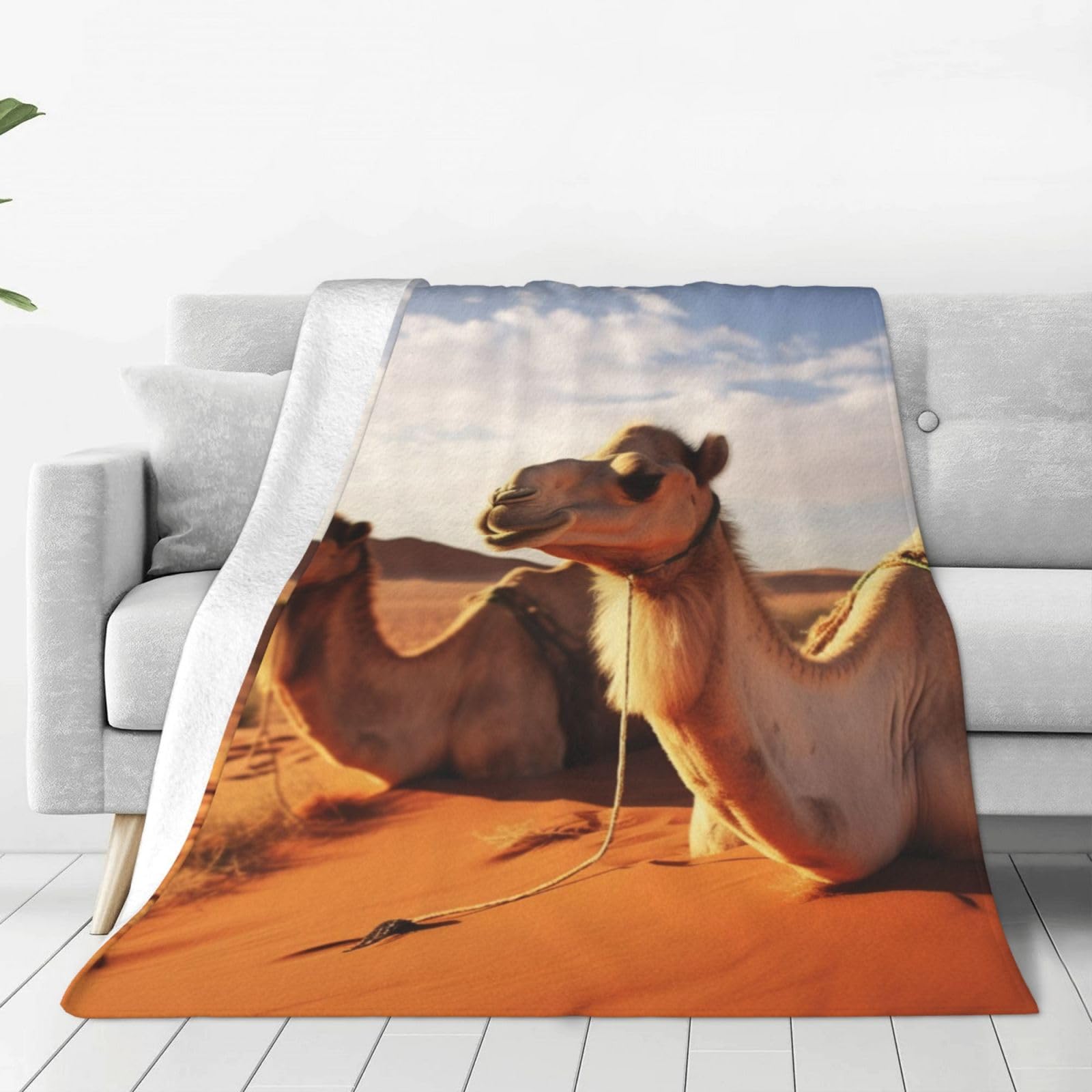 KLOPH Camels Rest Desert Throw Blanket 80"x60" Flannel Fluffy Warm Blanket for Couch, Reversible Plush Blankets for Bed, Comfy Fuzzy Blanket for Sofa, Plush Lightweight-Blankets for All Season
