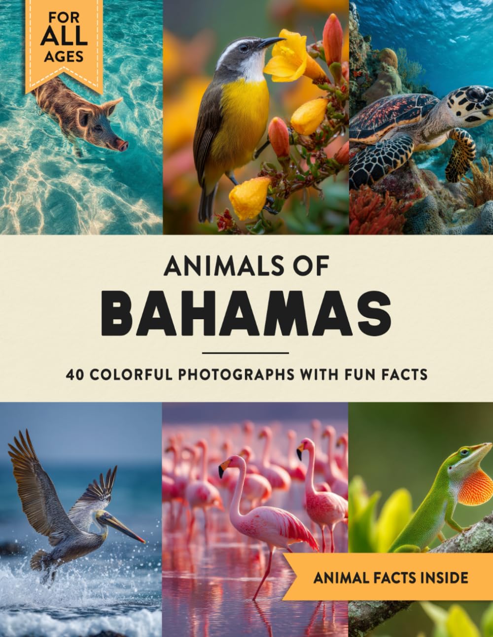 Animals of Bahamas: A Wildlife Picture Book With Fun Facts Including Nassau and Exuma For Kids & Adults