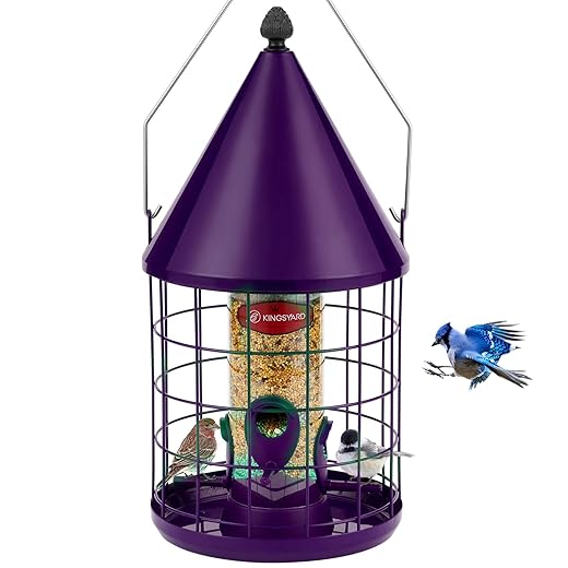 Kingsyard Bird Feeder for Outdoors Hanging - Recycled Plastic Hopper Bird Feeder for Wild Birds, 4 LBS Capacity, Sturdy and Durable, Green