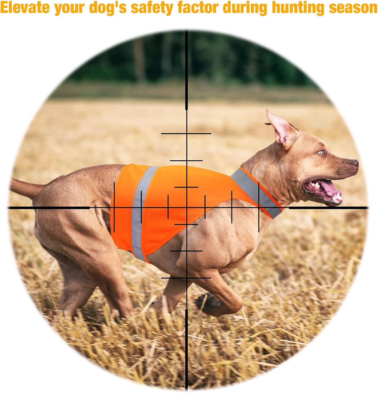 2 Pieces Orange Reflective Hunting Dog Vest, High Visibility Bright Dogs Safety Vest, Soft Adjustable Reflective Jacket for Outdoor Walking Hunting, Keep Dog in Sight and Safe (Blaze Orange)
