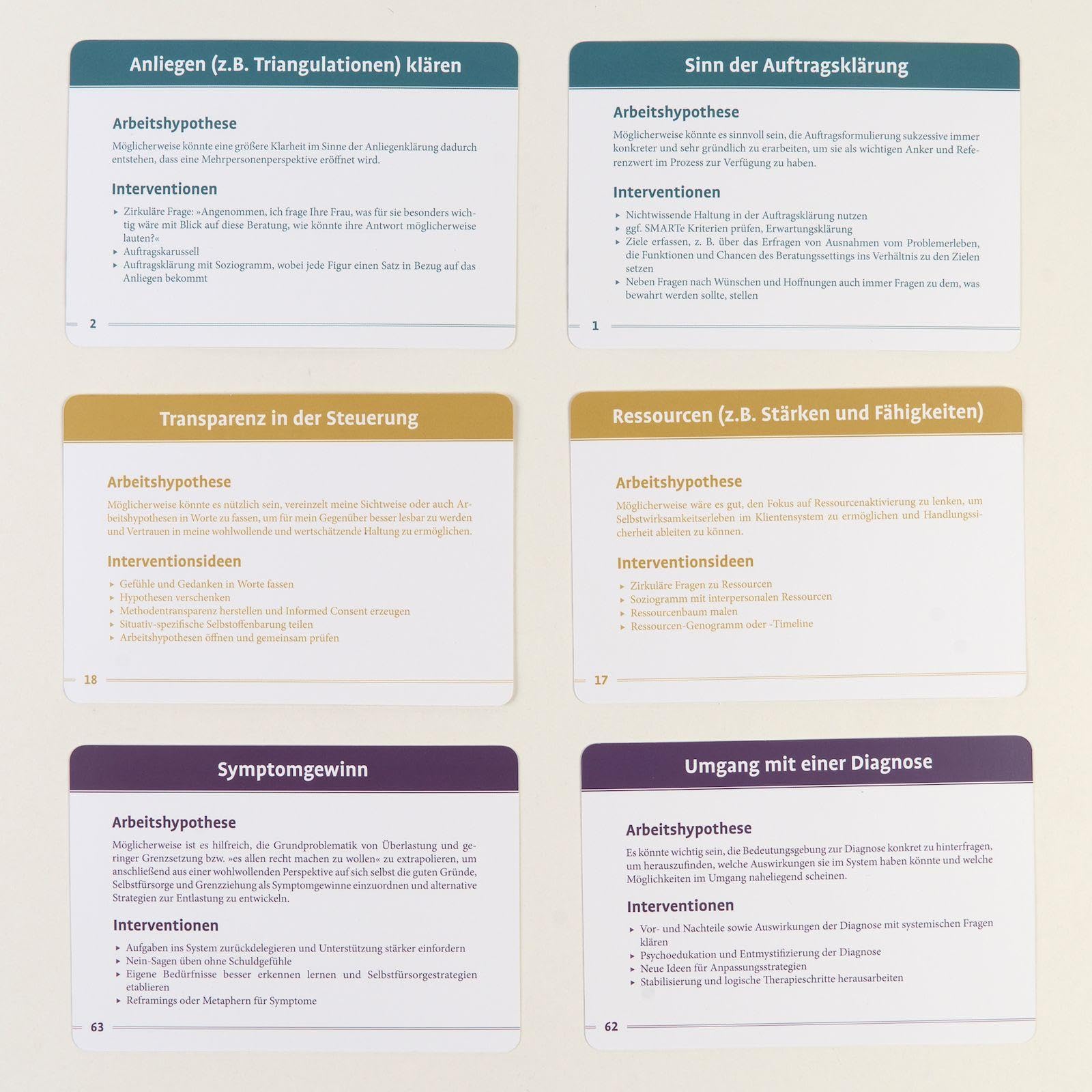 80 Hypothesen für Systemische Therapie und Beratung: Kartenset für hypothesengeleitetes Arbeiten. Mit 24-seitigem Booklet in stabiler Box, Kartenformat 9,8 x 14,3 cm (Beltz Therapiekarten)