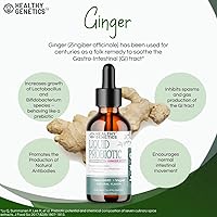Vista 5 de Probióticos líquidos para mujeres, hombres y niños Prebióticos + jengibre + probióticos para la salud digestiva Probiótico Acidophilus Sin