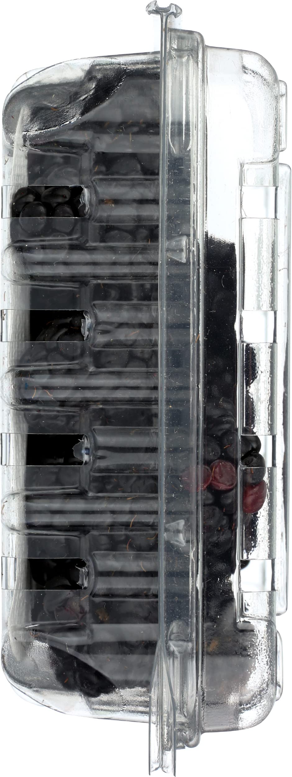 Blackberries 6 oz — view 5