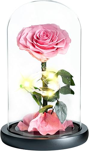 Miniatura 6 de Rosas preservadas, rosas reales que duran años, regalos de cumpleaños para ella, regalos para esposa, día de la madre, día de San Valentín, Navidad,