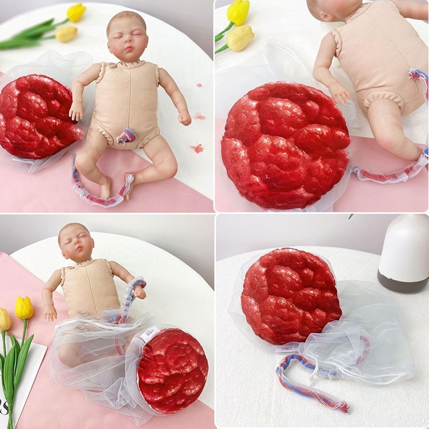 Weibliches Geburtsmodell Für Hebammen Mit Baby Modell Inkl Nabelschnur,Plazenta Und Beckenboden Modell Für Geburtshilfe Und Schulung in Der Weibliche Pelvis Geburtstagsmodell(B)