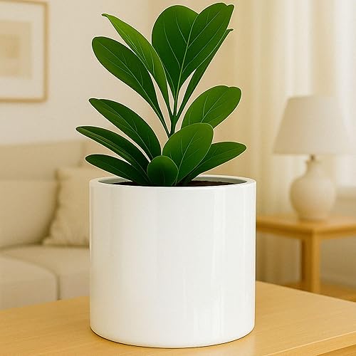 Fox & Fern - Maceta (fibra de piedra) Padre