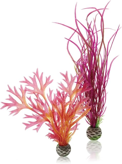 biOrb Plant Set M red and pink