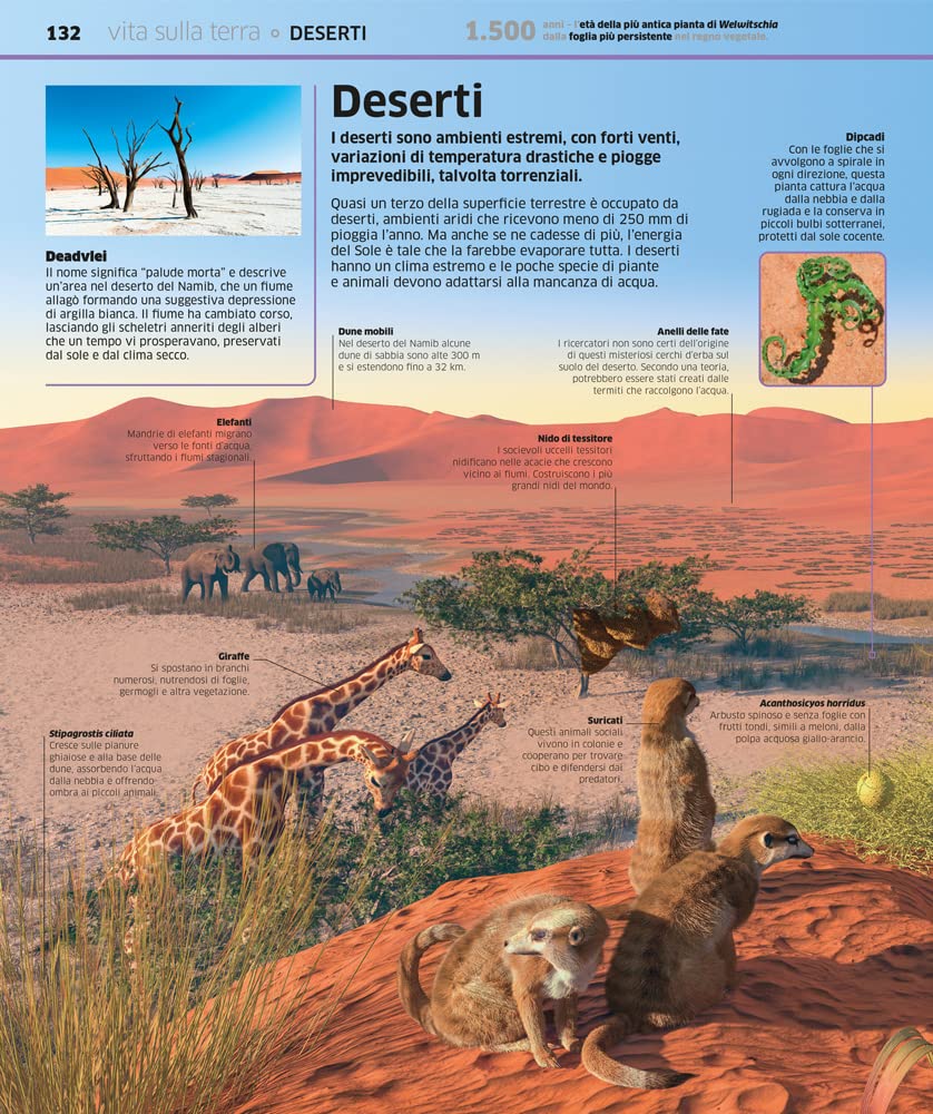 La grande enciclopedia della Terra. Ediz. a colori