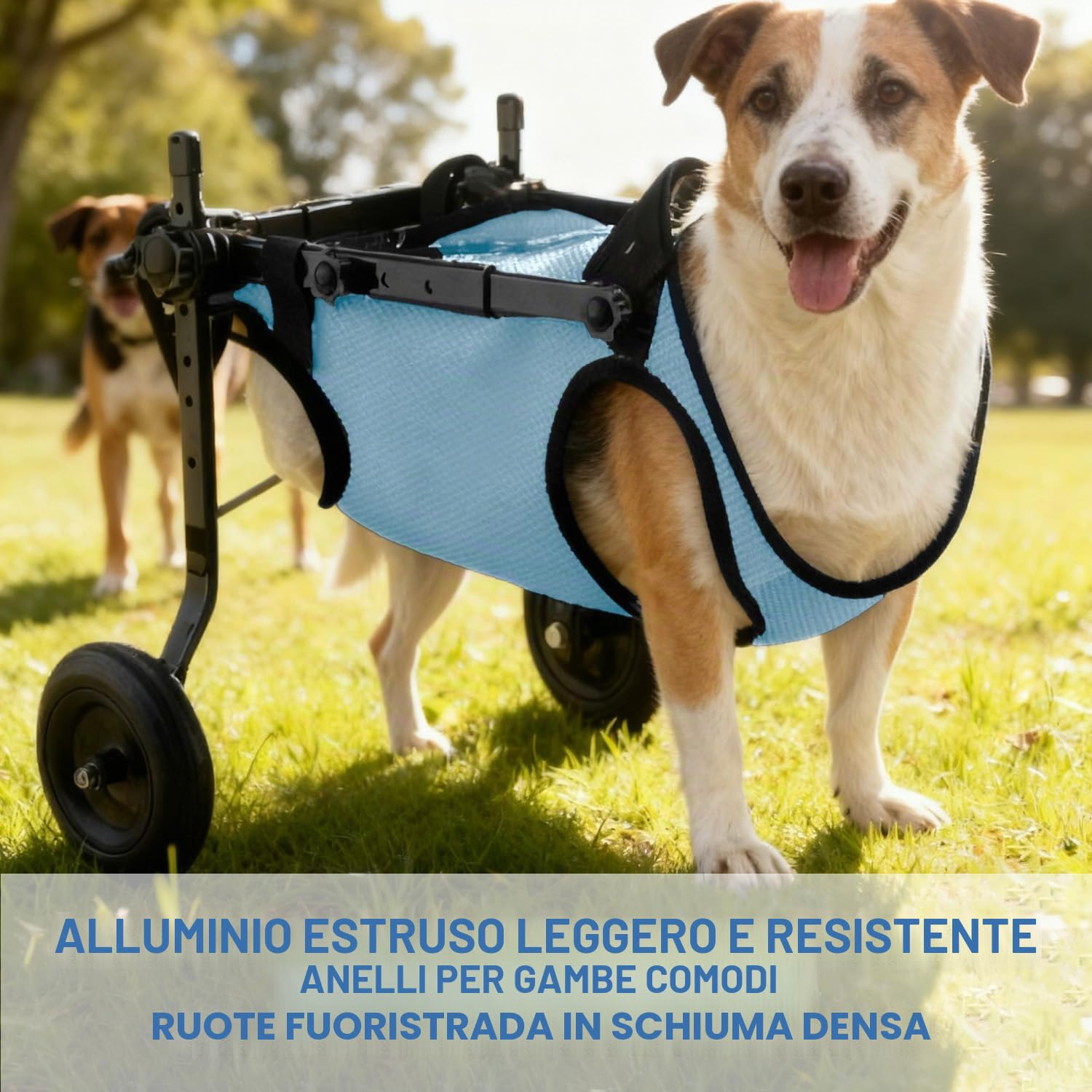 Sedia a rotelle per cani, piccola sedia a rotelle per cani e gatti, per animali domestici, supporta la guarigione, carrello per cani e sedia a rotelle per feriti e debolezza delle zampe posteriori