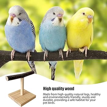 G62　止まり木　Tパーチ　☆　スタンド　バードトイ　フォージングトイ G62 止まり木 Tパーチ ☆ スタンド バードトイ フォージングトイ