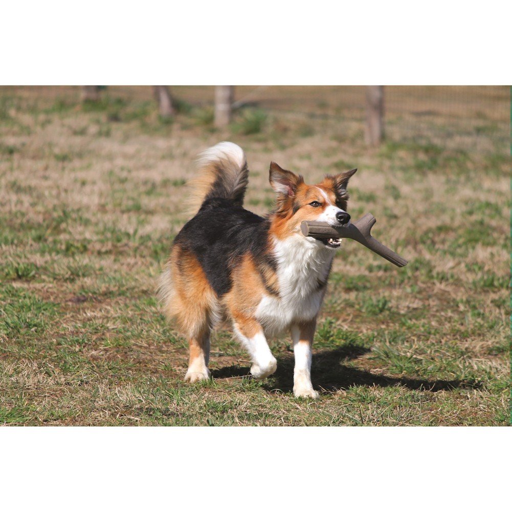 Bama 19150 Tutto Mio Gioco per Cani, 11 x 4 x 37 cm, Colori Assortiti