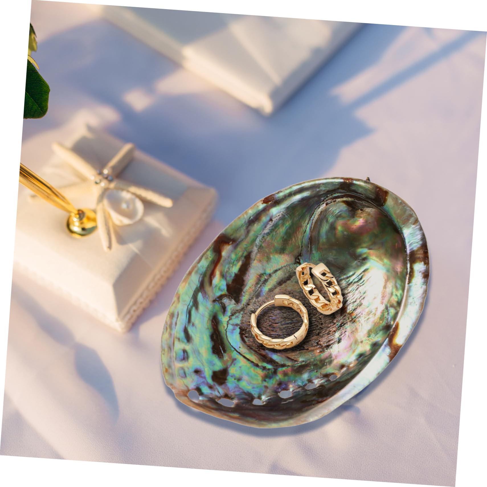 Veemoon Abalone-Meeresmuschel Accessoires,Große Abalone-Schale Für Hochzeit- Heimdekorationen DIY Decorative Accessoires Party
