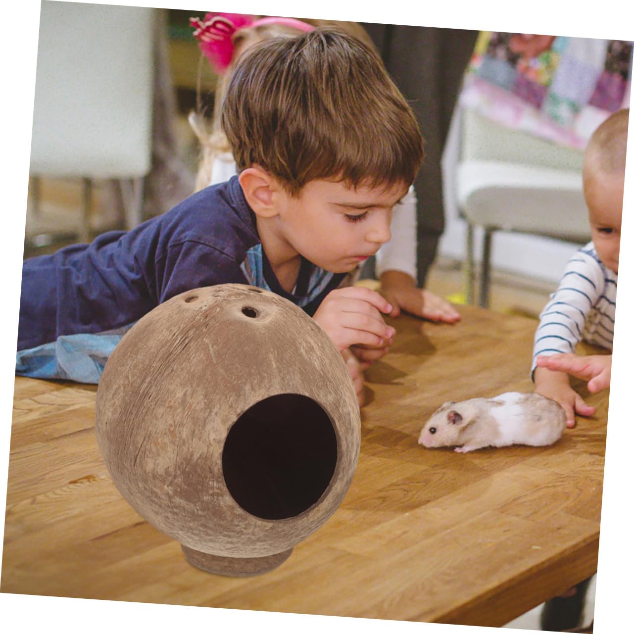 BESTonZON 2stücke Kokosnusshütte Für Hamster Und Kleintiere Versteckhaus Aus Kokosnussschalen Zum Verstecken Spielen Und Ausruhen Für Hamsterkäfige Und Meerschweinchenverstecke