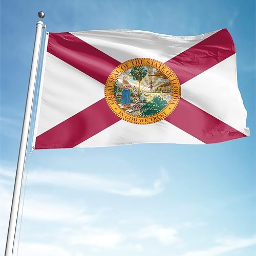 Miniatura 7 de FLAGWIN Bandera del estado de Florida de 3 x 5 para exteriores, banderas de Florida de doble cara de 3 capas, banderas de estado de FL de poliéster