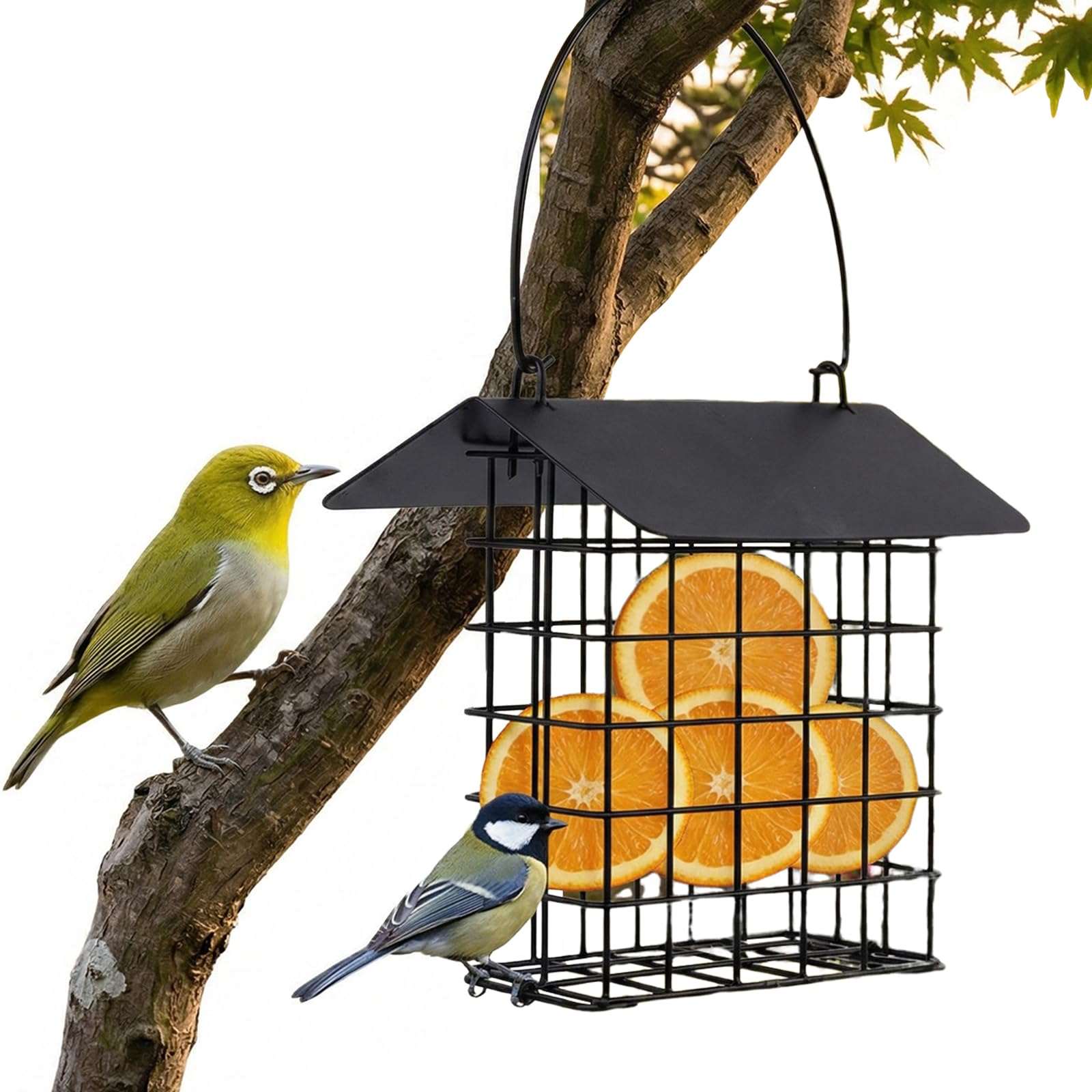 Amazon.co.jp: 野鳥用給餌器 吊り下げ式 バードフィーダー 鳥餌台 屋外