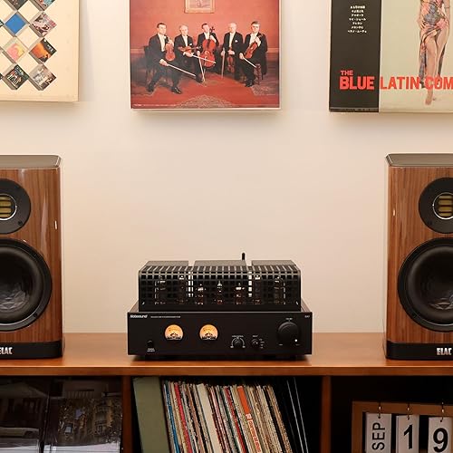 Miniatura 5 de Nobsound Amplificador Bluetooth de alimentación de tubo válvula de alta fidelidad con medidores de VU duales Reproducción de disco U USB RCA para